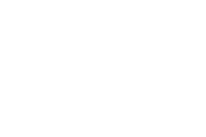 Udvardy Studio